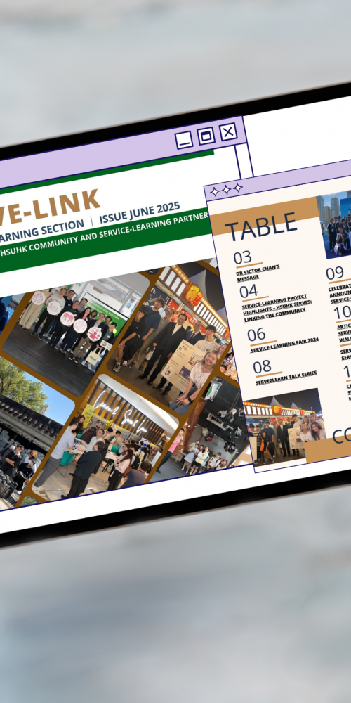 serve-link-3
